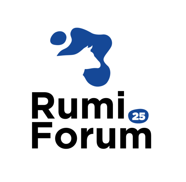 rumiForum 2025 - Profesional