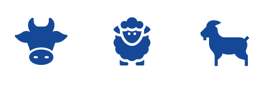 bovino, ovino, caprino de leche