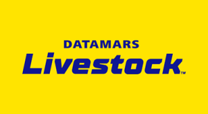Datamars