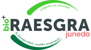 Raesgra